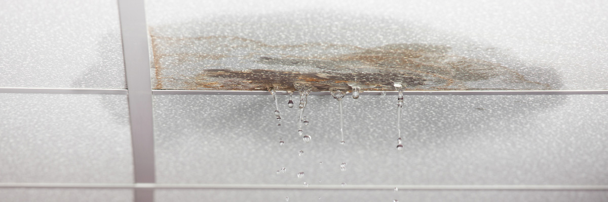 3-signs-you-need-to-call-a-san-gabriel-valley-plumber-immediately